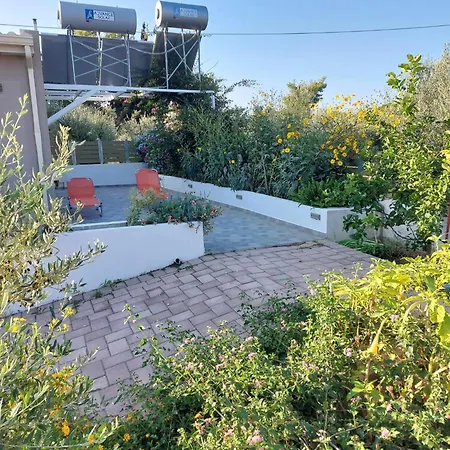Tzogias Nonna * לאסי