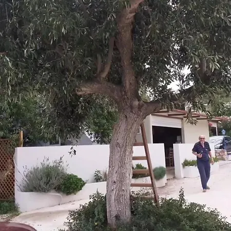 公寓 Tzogias Nonna 拉瑟